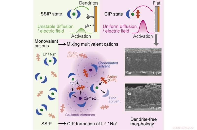 Tohoku Researchers Add Multivalent Cations to Eliminate Common Pitfalls in Rechargeable Batteries