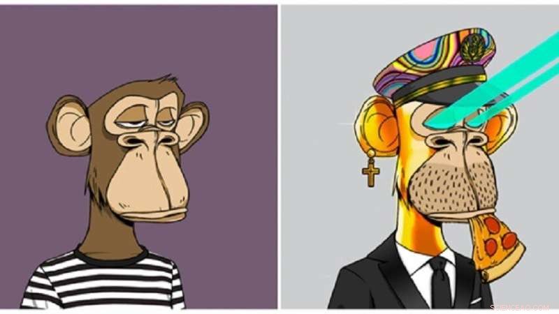 NFT Collectors: Navigating the Fine Line Between Buzz and Boredom