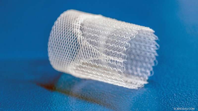 Revolutionary 3D‑Printed Bioinspired Heart Valves Using Melt Electrowriting to Foster Natural Tissue Regeneration