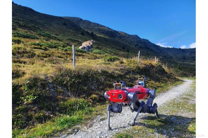 Robot Dogs Achieve Walking Mastery Using Reinforcement Learning