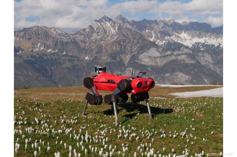 Robot Dogs Achieve Walking Mastery Using Reinforcement Learning