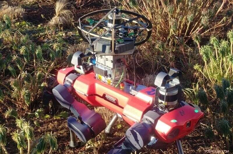 Hybrid Legged-Aerial Marsupial Robot for Versatile Terrain Exploration