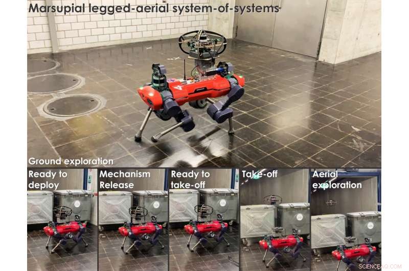 Hybrid Legged-Aerial Marsupial Robot for Versatile Terrain Exploration