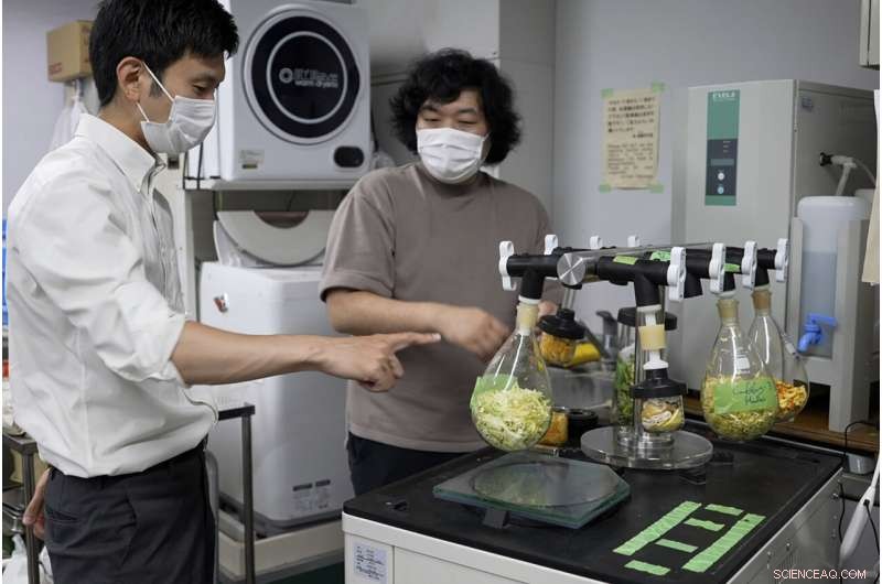 Innovative Cement from Food Waste: Tokyo University s Sustainable Construction Breakthrough