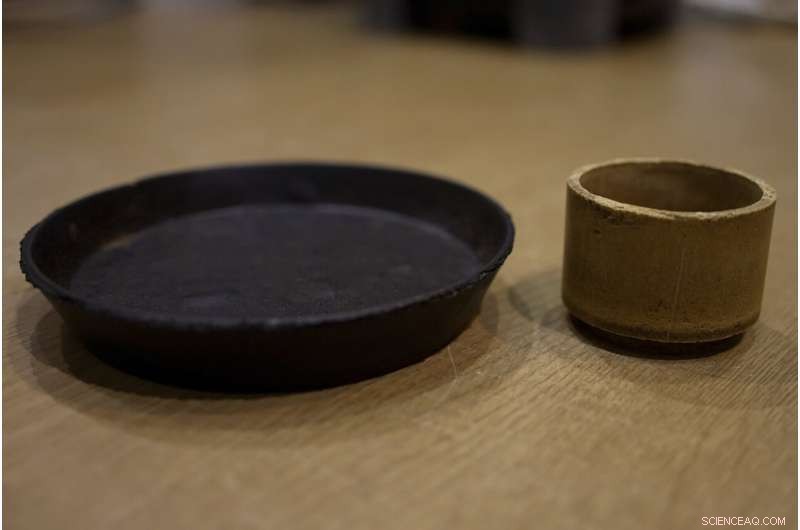 Innovative Cement from Food Waste: Tokyo University s Sustainable Construction Breakthrough