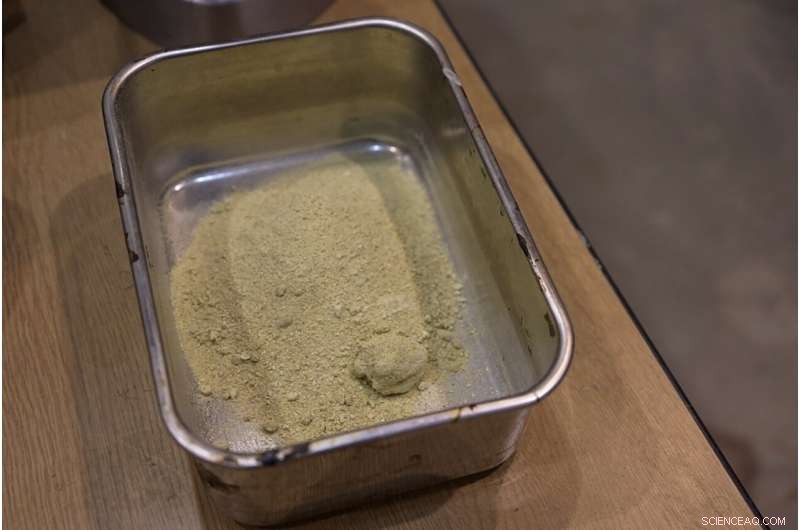 Innovative Cement from Food Waste: Tokyo University s Sustainable Construction Breakthrough