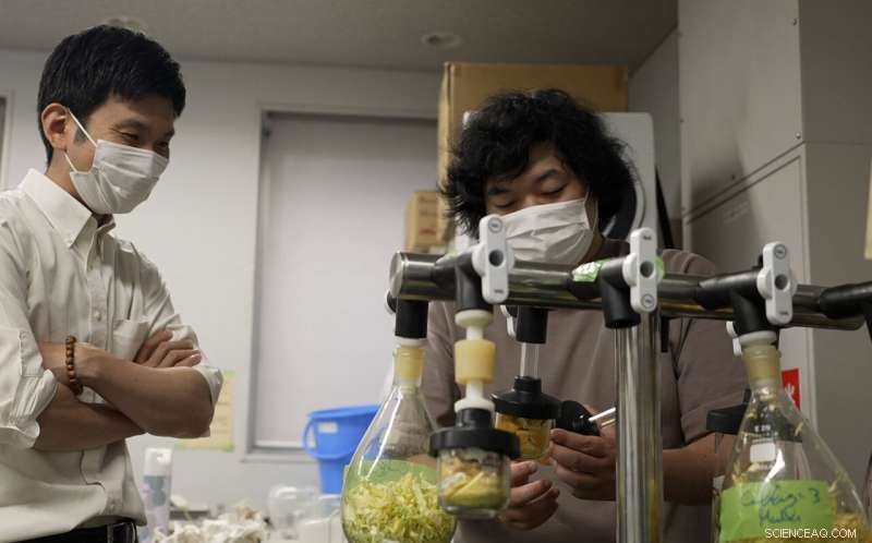 Innovative Cement from Food Waste: Tokyo University s Sustainable Construction Breakthrough