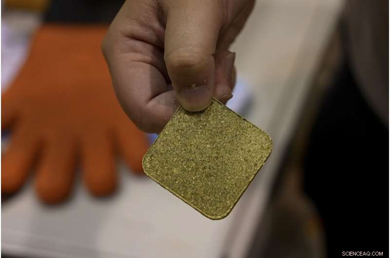 Innovative Cement from Food Waste: Tokyo University s Sustainable Construction Breakthrough