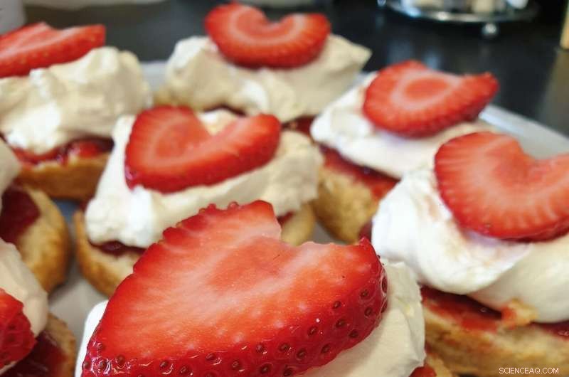 Sound-Based Cooking: A Sustainable Innovation for Jam and Cream Production