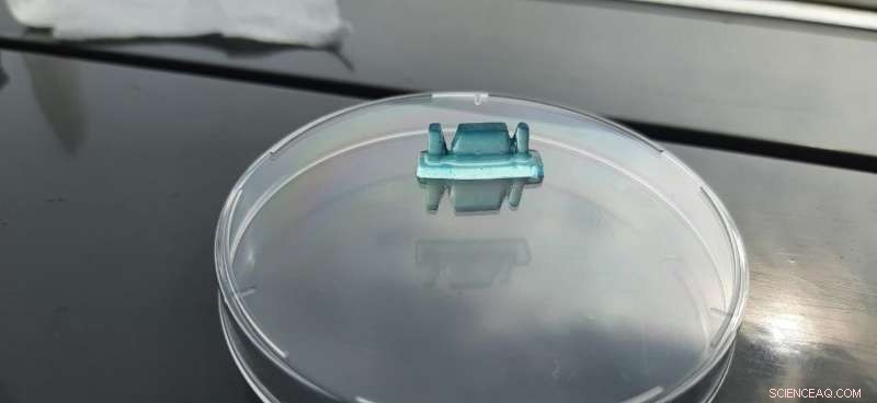 Sustainable Composite Hydrogel Inks for Digital Light Processing 3D Printing