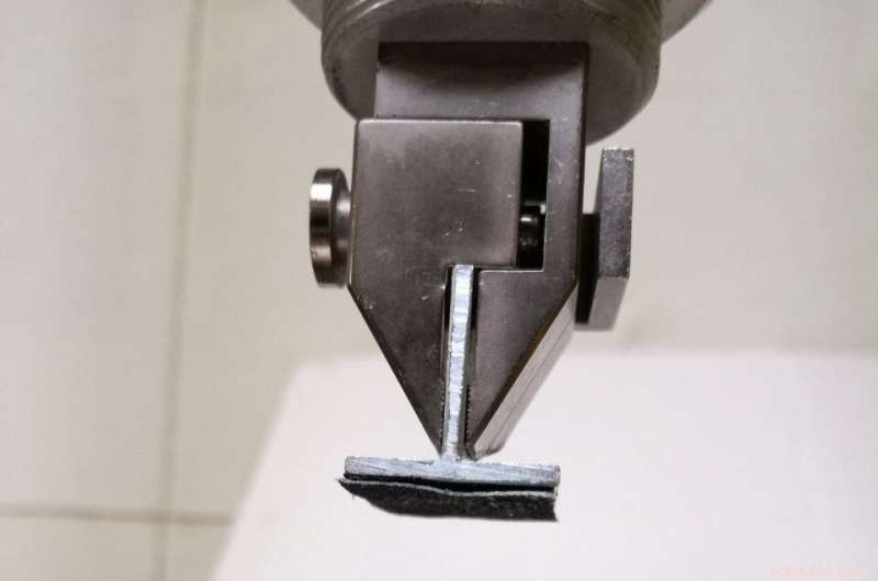 Sustainable Composite Hydrogel Inks for Digital Light Processing 3D Printing