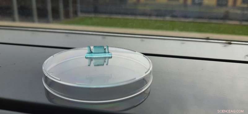 Sustainable Composite Hydrogel Inks for Digital Light Processing 3D Printing