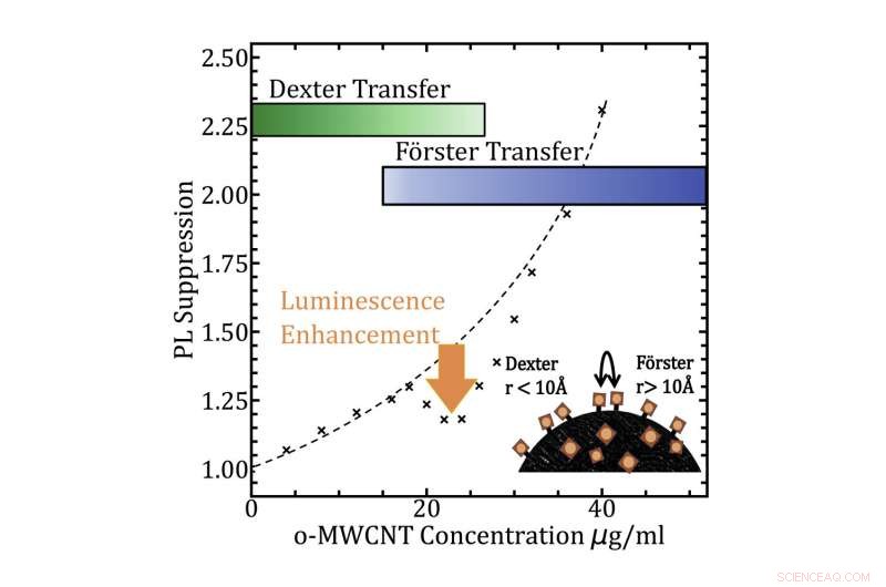 Scientists Develop Chlorophyll-Inspired Nanoparticles to Enhance Solar Panel Efficiency