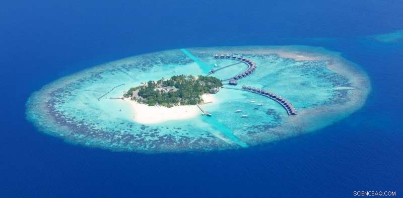 Ocean Thermal Energy: Clean Electricity from Cold Depths for Island Nations