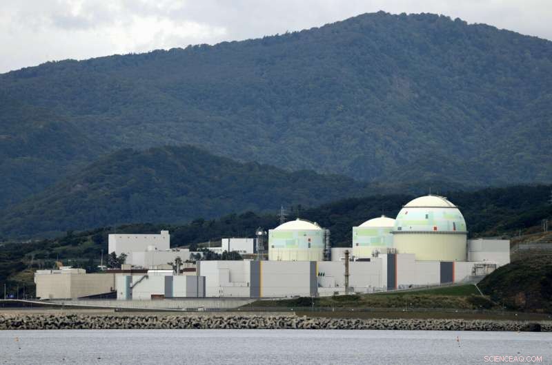Japanese Court Blocks Nuclear Plant Restart Over Inadequate Tsunami Safeguards