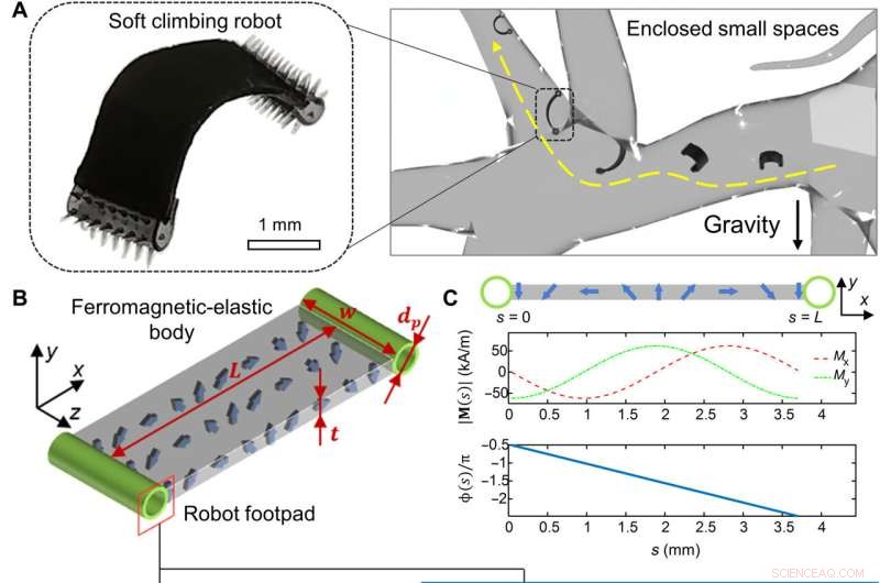 Magnetically-Controlled Soft Millirobot for Targeted Drug Delivery in the Gut