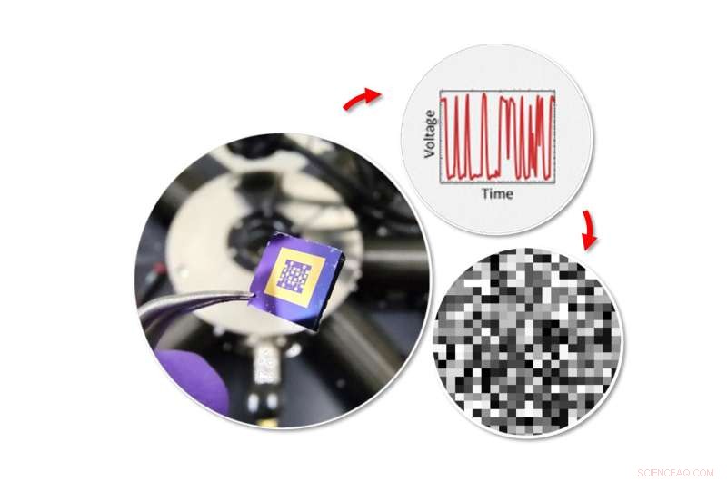 Harnessing Random Electron Movement to Strengthen Cybersecurity