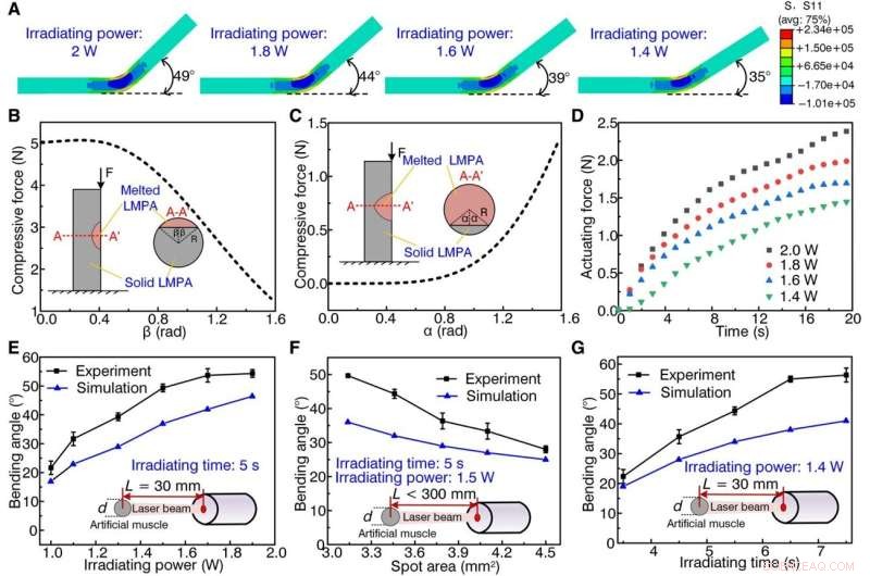 Advanced Self‑Sensing Artificial Muscle: Liquid Crystal Elastomer Meets Low‑Melting‑Point Alloys