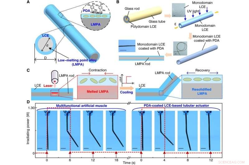 Advanced Self‑Sensing Artificial Muscle: Liquid Crystal Elastomer Meets Low‑Melting‑Point Alloys