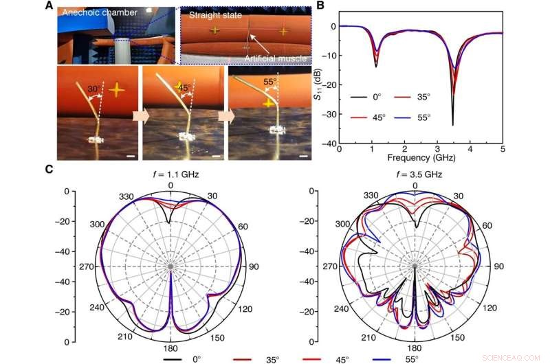 Advanced Self‑Sensing Artificial Muscle: Liquid Crystal Elastomer Meets Low‑Melting‑Point Alloys