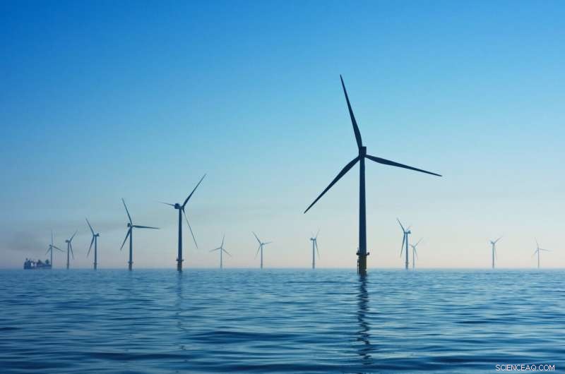 Potential Impact of Offshore Wind Farms on Marine Mammal Behavior