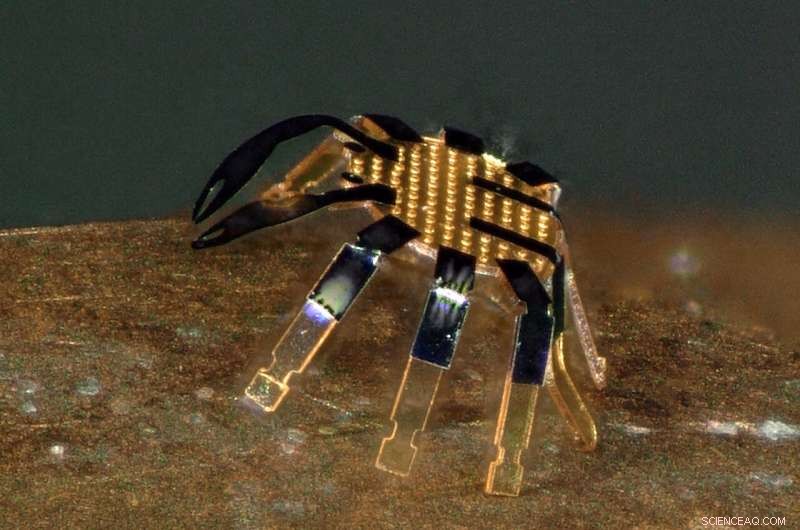 Northwestern Engineers Build 0.5‑mm Robotic Crab: Smallest Remote‑Controlled Walking Robot