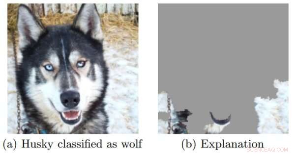 Self-Driving Car Accidents: Liability and the Importance of Black Box Data