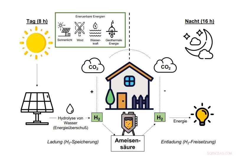 Biobattery Breakthrough: Novel Hydrogen Storage System Using Bacteria