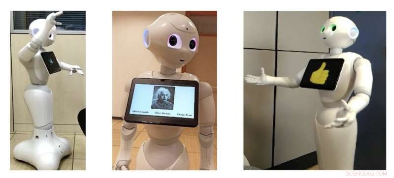 Humanoid Robot Interaction with Seniors: A Study on Cognitive and Emotional Responses