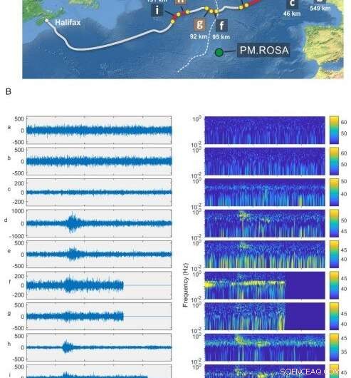 Seismic Event Detection with Undersea Fiber Optic Cables