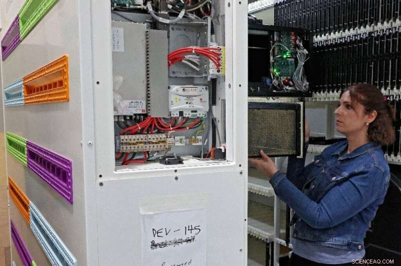 AI-Powered Beehives in Israeli Kibbutz Combat Global Bee Decline