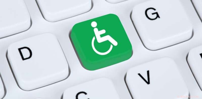 Bridging Digital Divides: Why Physical Accessibility Outpaces Web Inclusion