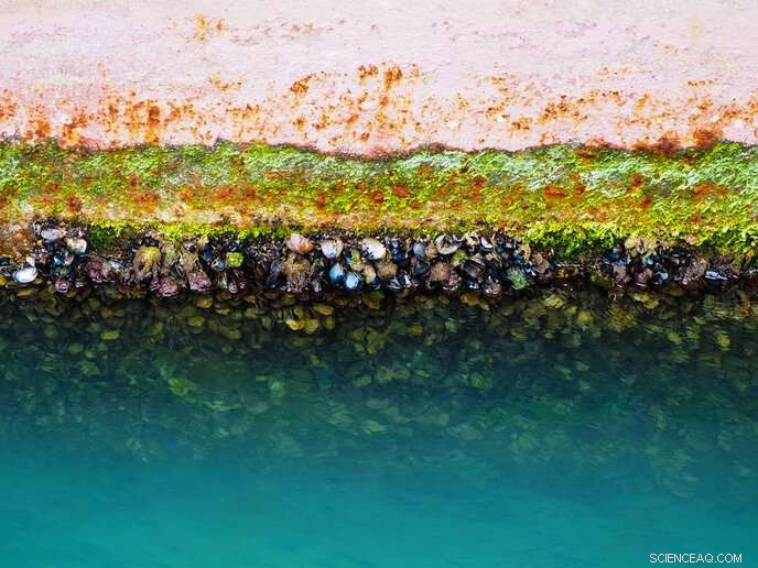 Improving Maritime Sustainability: Air Layer Technology to Combat Biofouling and Enhance Fuel Efficiency