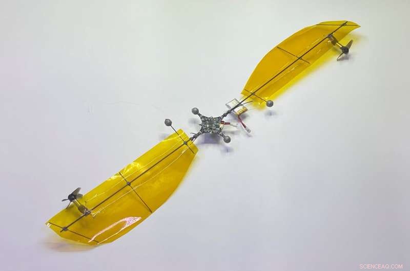 Tiny Under-100g Drone Inspired by Maple Seeds Doubles Flight Time