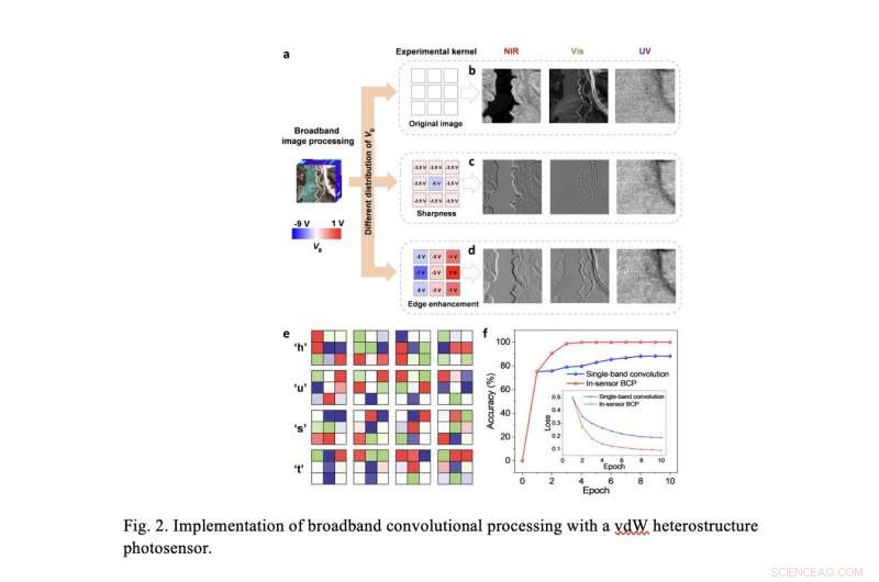 Van der Waals Heterostructures: Enabling Simultaneous Broadband Image Sensing and Convolutional Processing