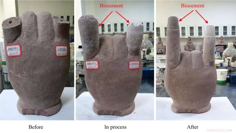 NTU Researchers Develop Sustainable Biocement from Waste for Cultural Heritage Restoration