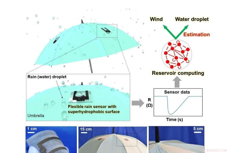Innovative Flexible Sensor Sheet for Simultaneous Rain and Wind Monitoring