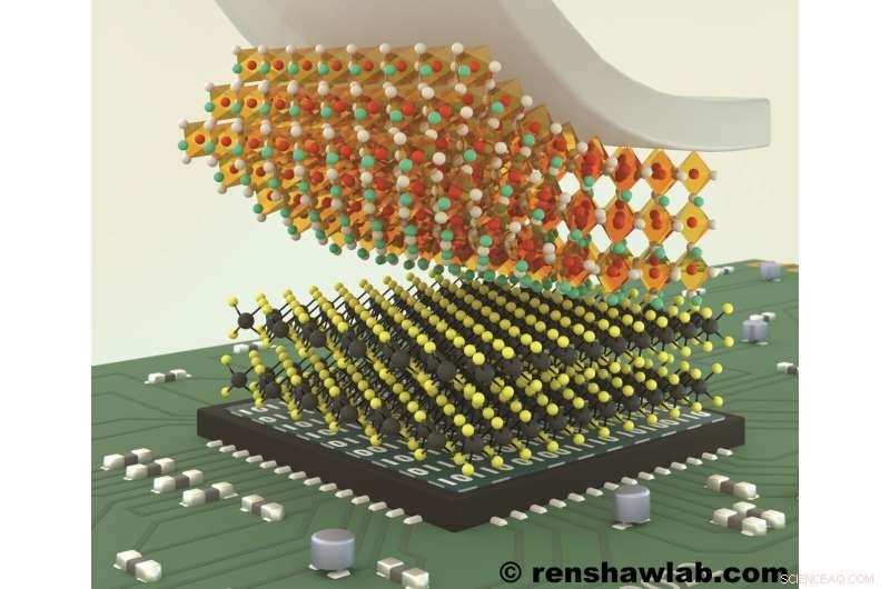 Advanced Transistors: Integrating High-k Perovskite Oxides with 2D Semiconductors