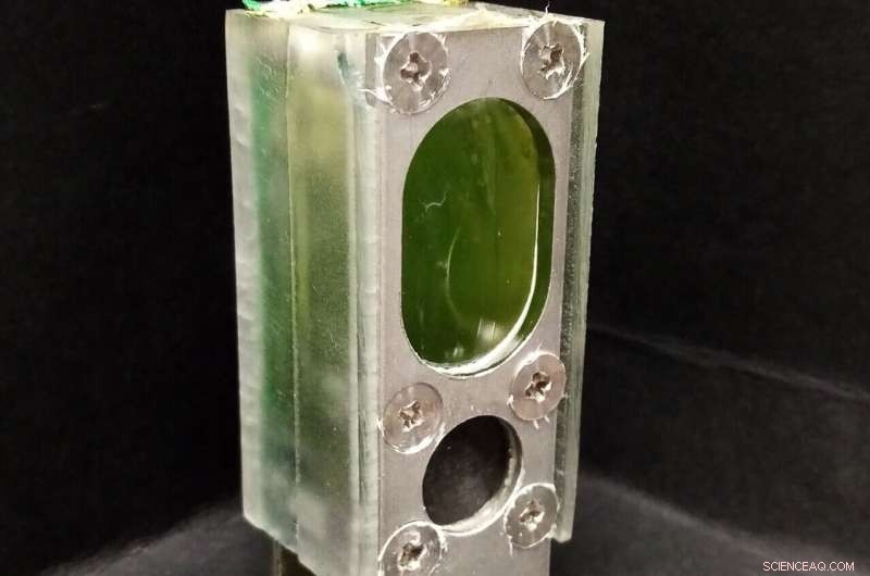 Algae-Based Biological Photovoltaic Cell Achieves Year-Long Continuous Power for Computing