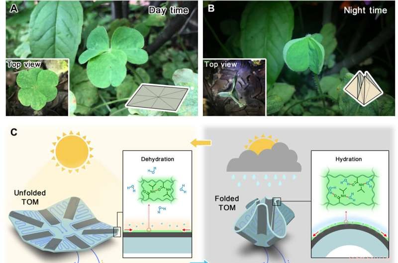 Plant-Inspired TransfOrigami Microfluidics: Adaptive Biomimetic Systems for Environmental Response