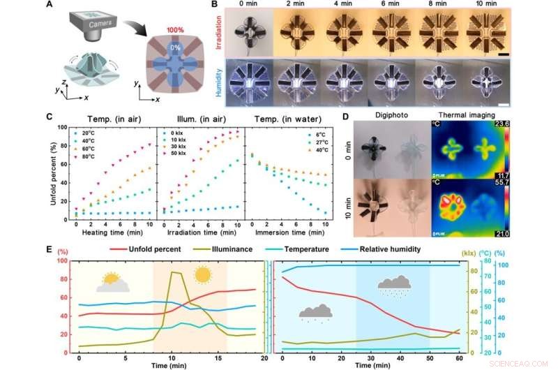 Plant-Inspired TransfOrigami Microfluidics: Adaptive Biomimetic Systems for Environmental Response