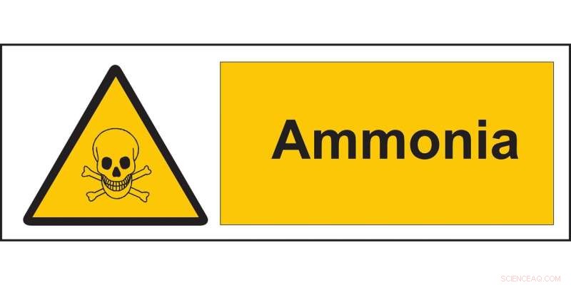 Advanced Wireless Self-Powered Ammonia Leak Detection System for Safe Ammonia-Fueled Vessels