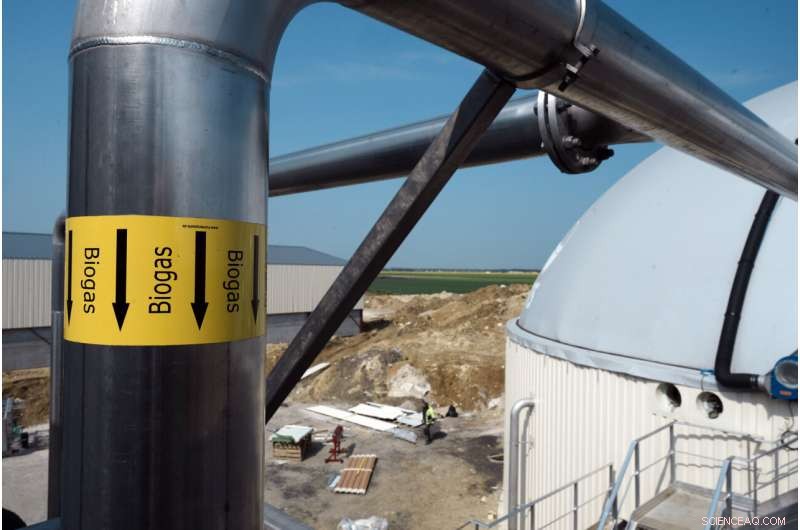 European Farmers Harness Biogas to Reduce Russian Energy Dependence