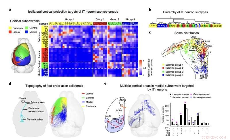 Advanced Technique for Programming Robots to Replicate Human and Animal Movements