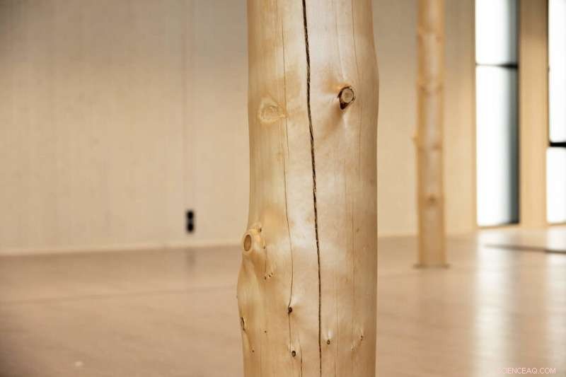 Sustainable Building: Wood as a Solution to Steel Shortages & Rising Costs