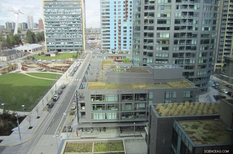 Green Roofs: Benefits & Cost Savings for Urban Homes