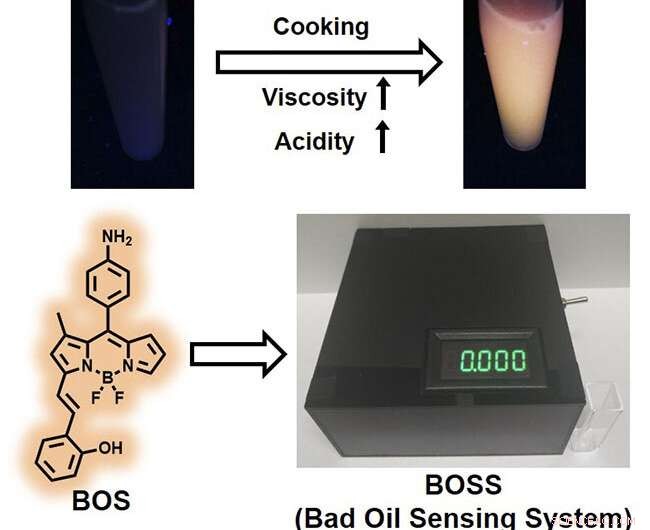 Innovative Portable Fluorescent Probe for Sensitive Detection of Bad Cooking Oil