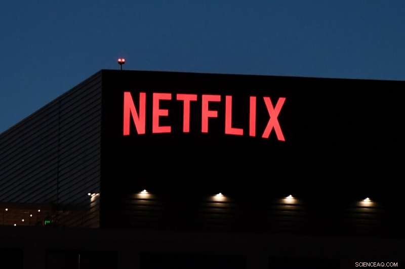 Netflix Faces Class Action Lawsuit Over Subscriber Decline Disclosure