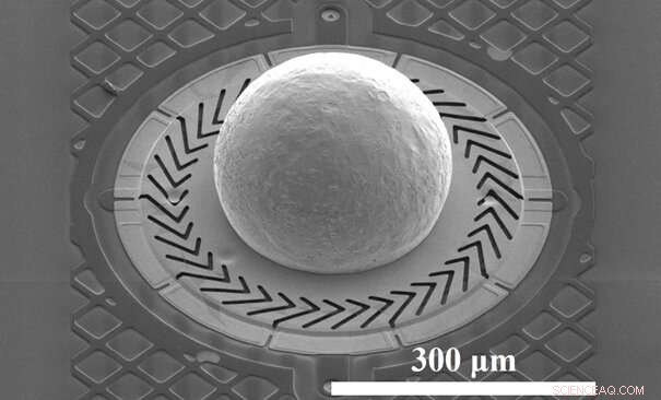 ETH Zurich s Breakthrough Artificial Skin Grants Robots Human-Like Tactile Sensitivity