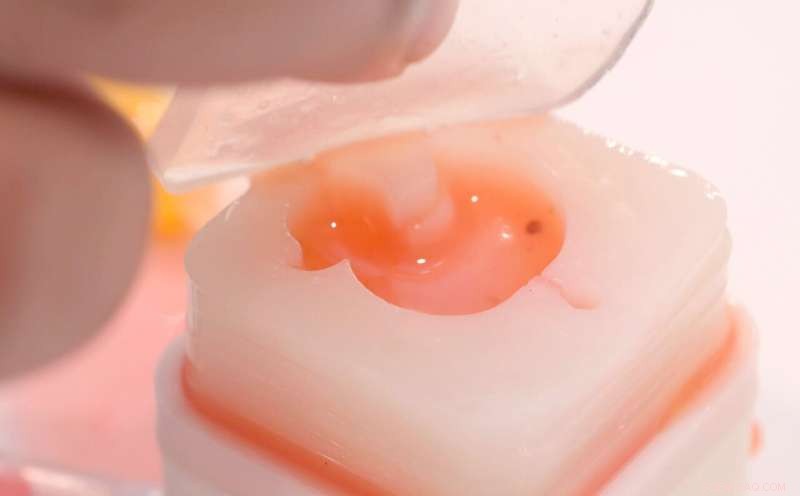 Logic Bonbon: Decoding Computer Science Through Dessert-Based Logic Experiences